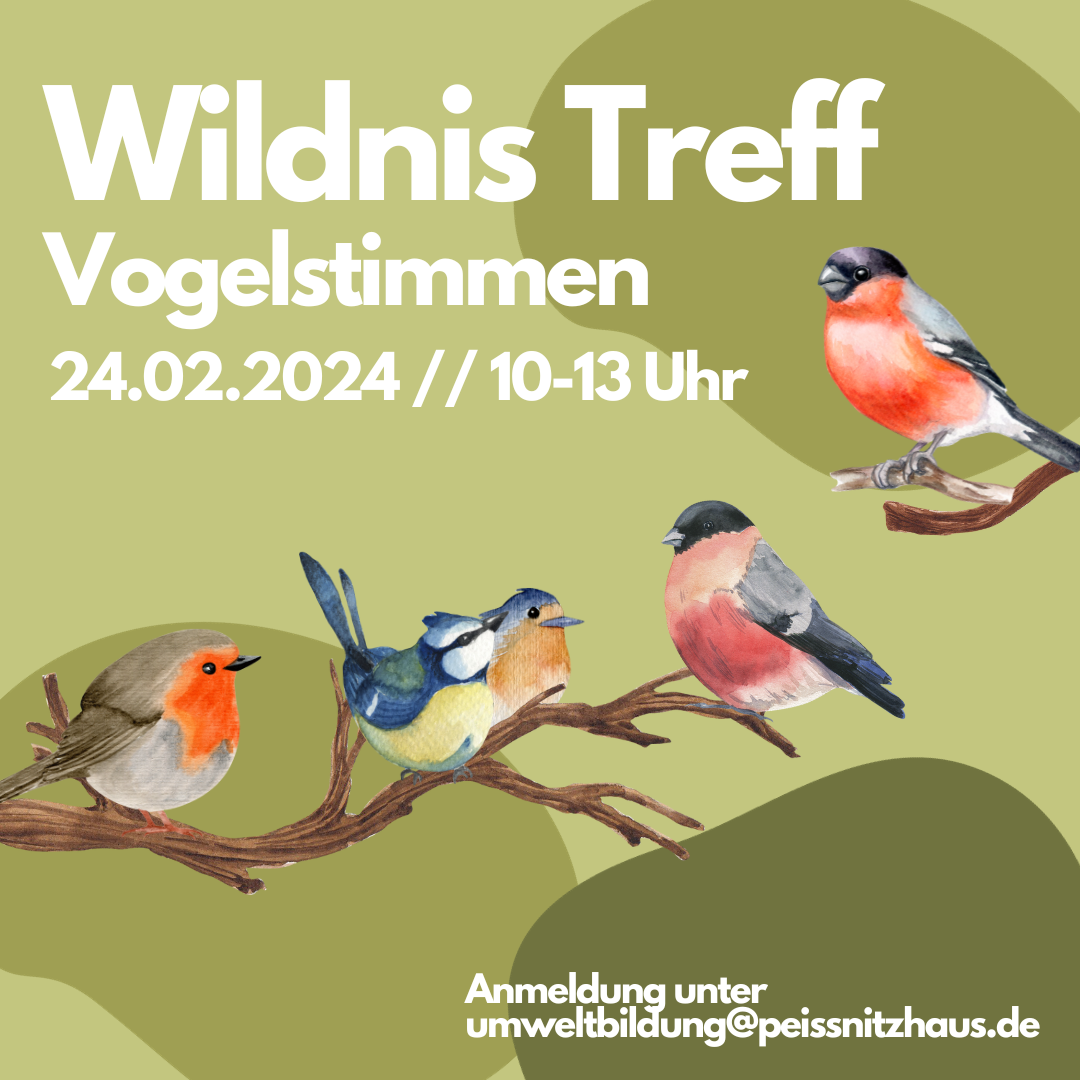 Vogelstimmen_1.png