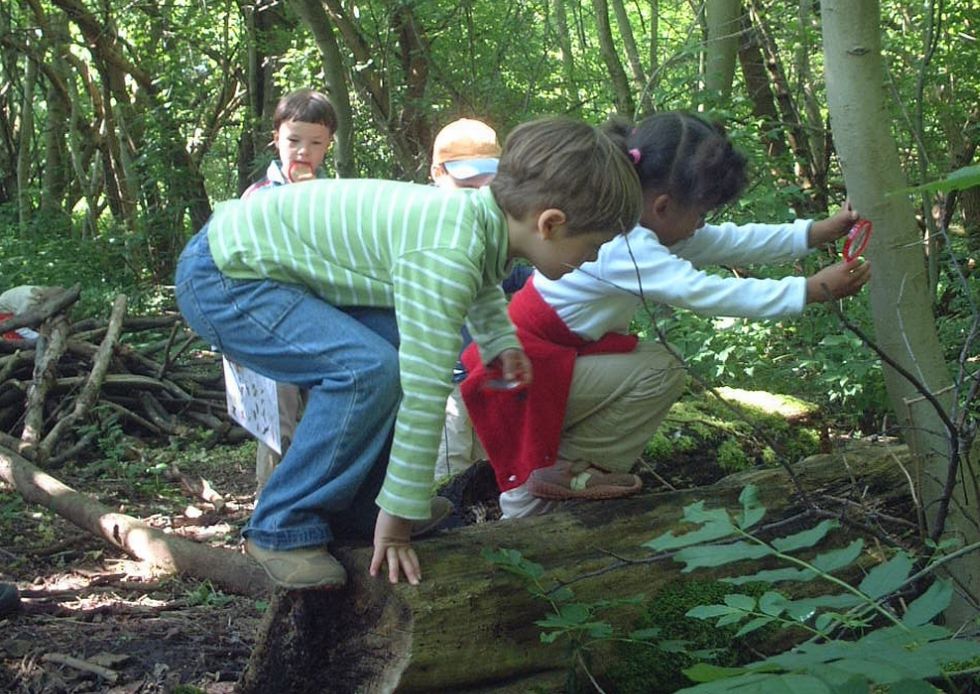 naturlehrpfad
