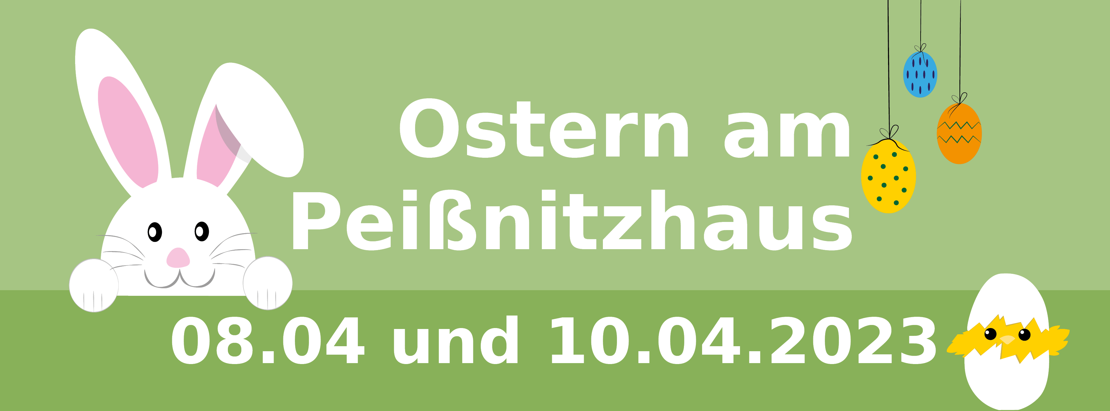 Banner 2023