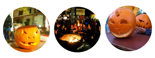 Banner Webseite herbst